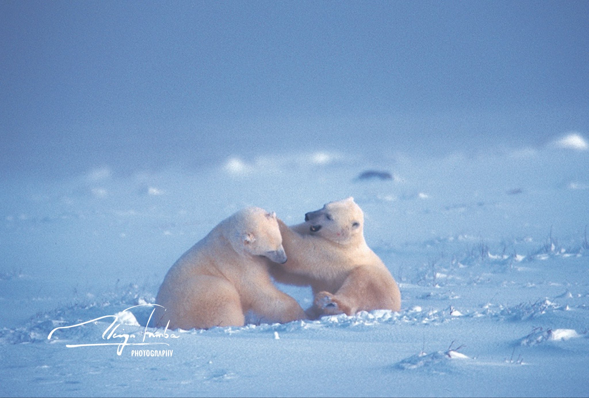 丹葉暁弥 / photographer on X: 