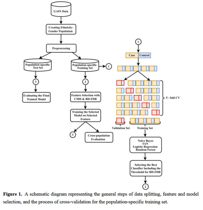 Stratification Model Example Stratification Diagram New Forms Of Inequality And Structures Of