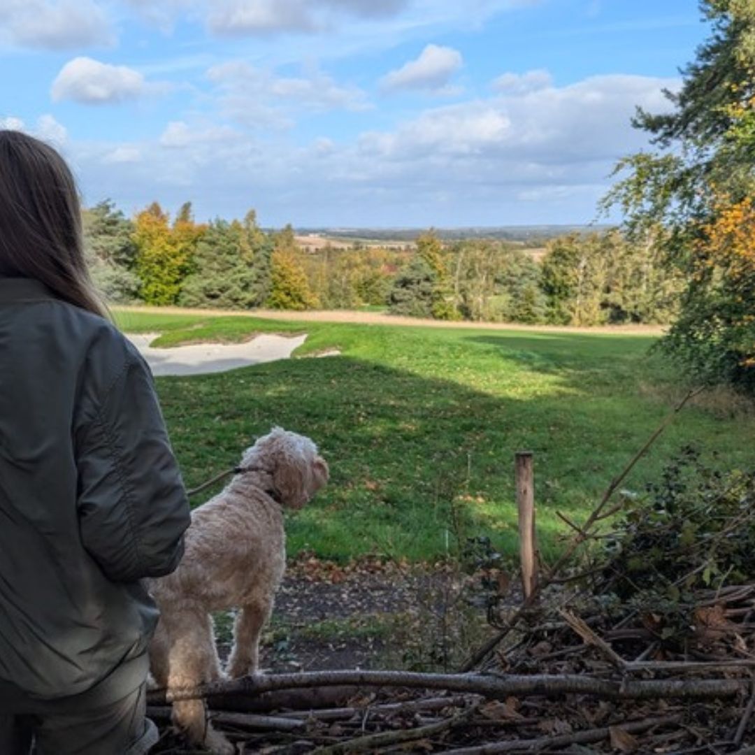 CambridgePPF's tweet image. 🐶 Dogs of Cambridge, this is your invite!
Wandlebury = beautiful walks 🌳, dog run 🐕💨, safe on-lead spaces, plenty of bins &amp;amp; even a water bowl by the foyer. Bring your human &amp;amp; come sniff around!
#DogFriendly #Wandlebury #CambridgeDogs #HappyPaws
🔗 cambridgeppf.org