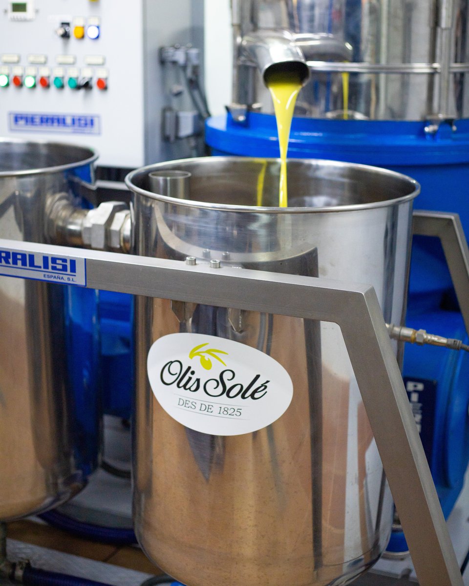 Quan comença la collita, neix el raig de l’oli: pur, verdós i viu, el primer suc de les olives acabades de moldre. 🌿

Un oli intens i afruitat per gaudir ara, quan conserva tota la seva frescor — un instant de natura líquida i essència de la terra. 💛