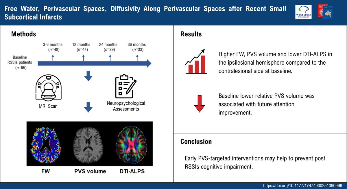 IntJStroke's tweet photo. 🧠📈Study finds baseline perivascular space (PVS)  volume is correlated with cognitive changes in patients with recent small subcortical infarcts

🎯Early PVS-targeted interventions could help prevent post-stroke cognitive impairment

Read more below👇
https://t.co/KBzspwh3k8 https://t.co/YqvyiCrOo3
