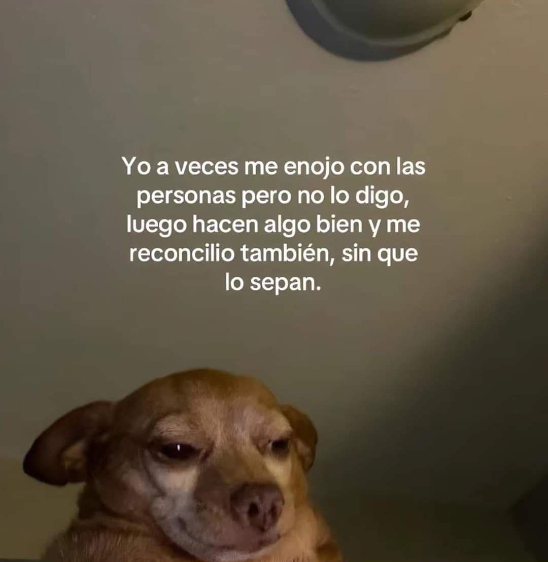 BANDIDOS (@bandidosfrasess) on Twitter photo 