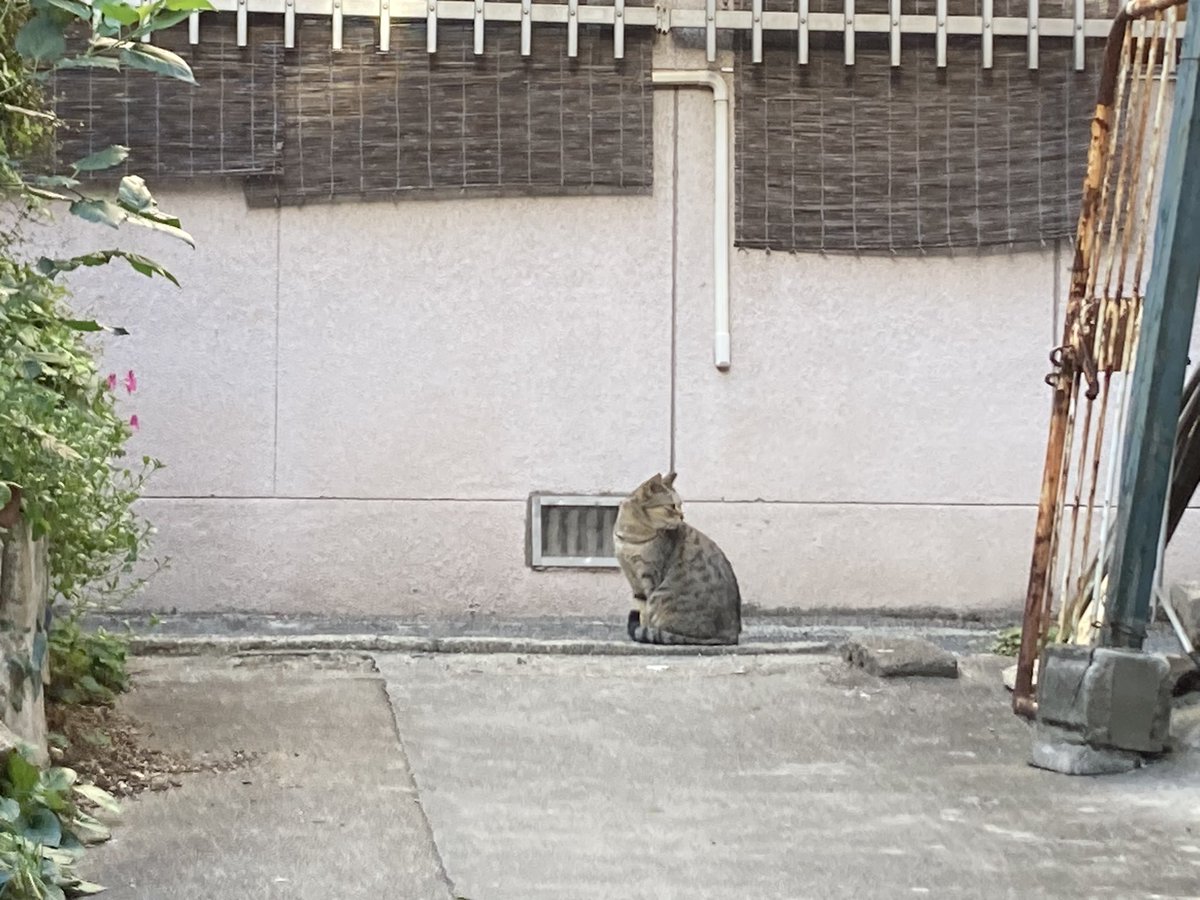 本日の営業は終了です
お越しいただいたお客さま、
誠にありがとうございました。

毎週土日はお休み。
次回の営業は10/20(月)
12:00-18:00.オープンです