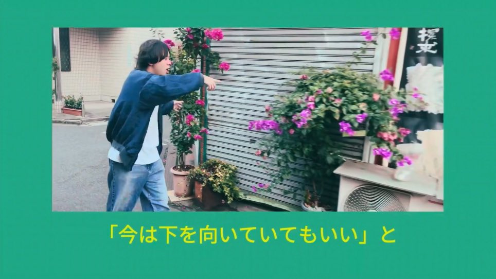 💐🕊️🌬️🌕