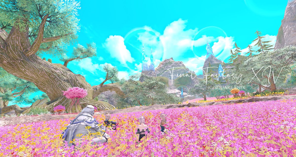 DDの景色綺麗🧚‍♀️💫
ヘアカタログ出ません