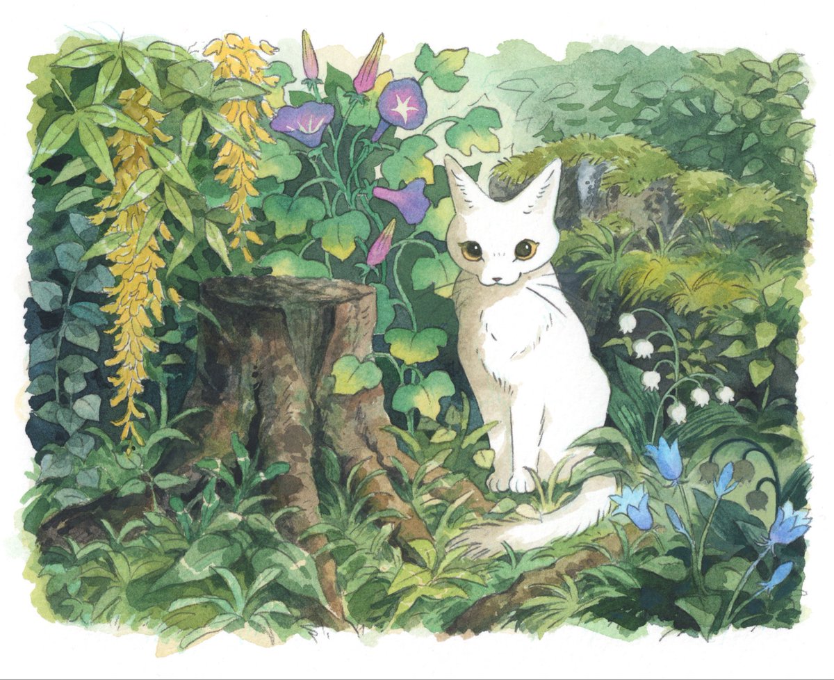 Cat in June