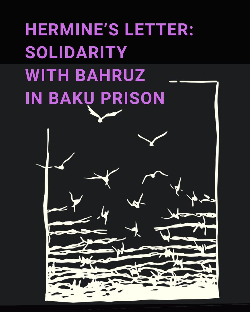 Feminist Peace Collective tweet media