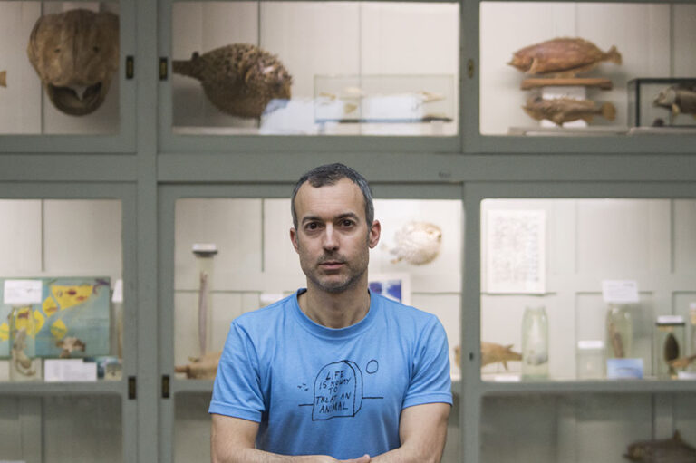 Jaime Clara tweet media