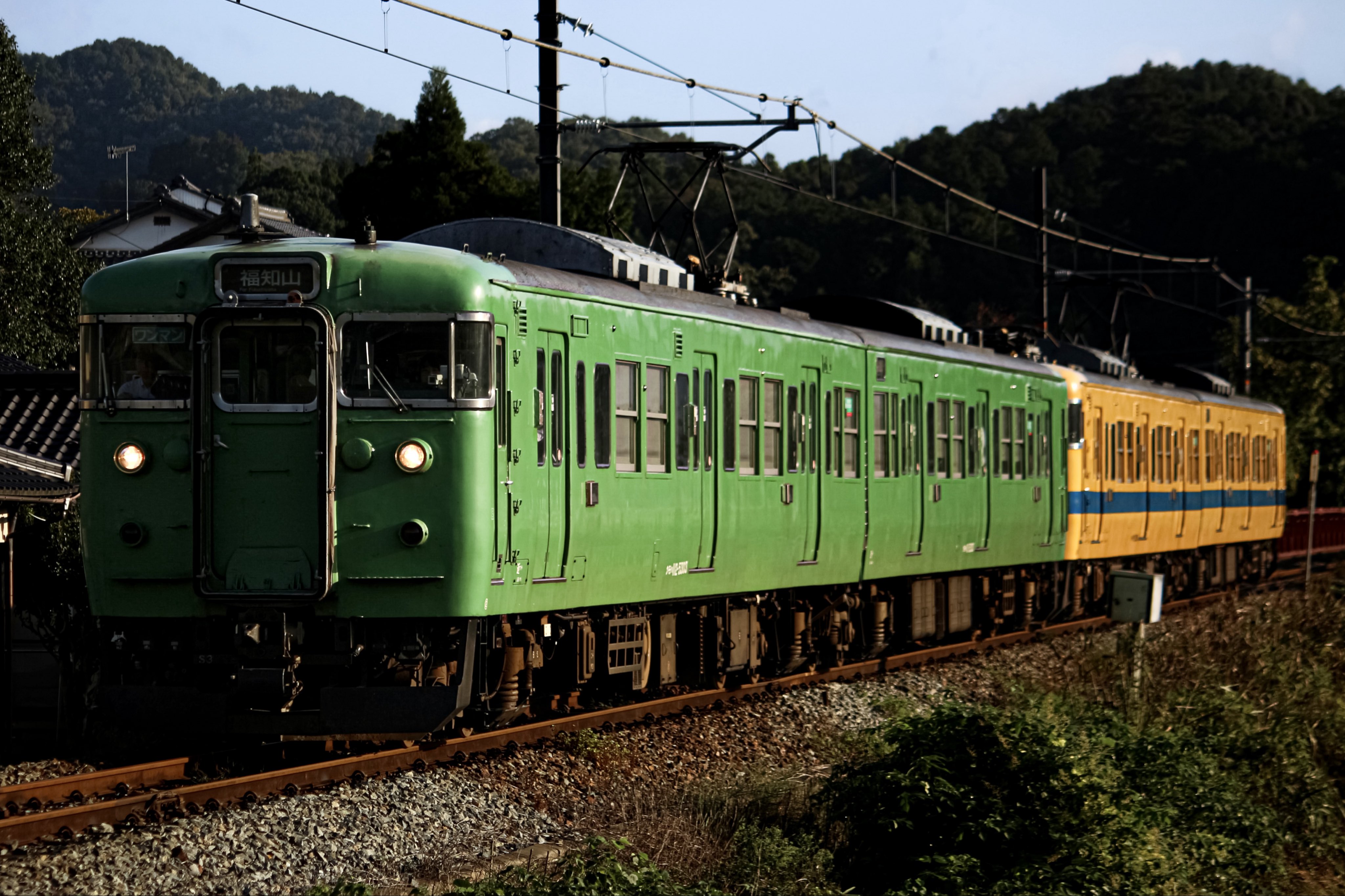 さしみ様 SFサシミ61～67 | 製品シリーズ詳細 | シーピー化成株式会社