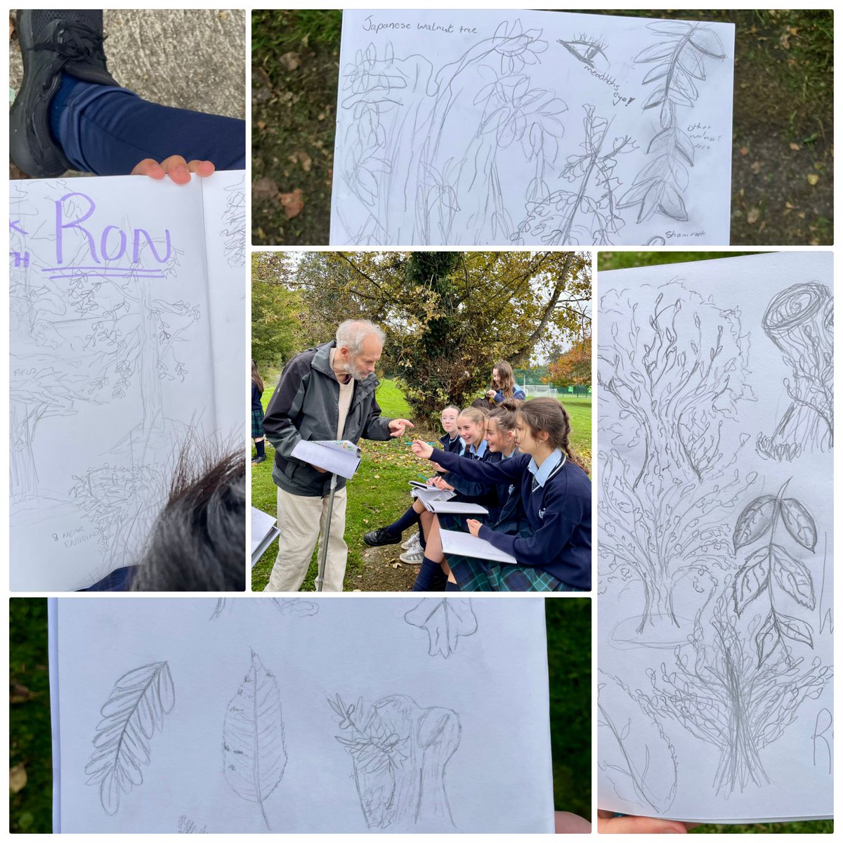 Our Lady's College (@olcdrogheda) on Twitter photo 2nd year Art students enjoyed a relaxing and informative tour of our school grounds this afternoon, with our wonderful horticultural expert Ron. πππ 2nd year Art students enjoyed a relaxing and informative tour of our school grounds this afternoon, with our wonderful horticultural expert Ron. πππ