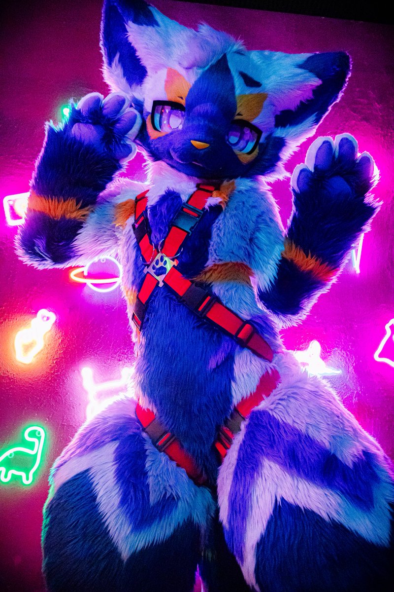In the glow of neon lights💡
#獣身売買3 #FursuitFriday
