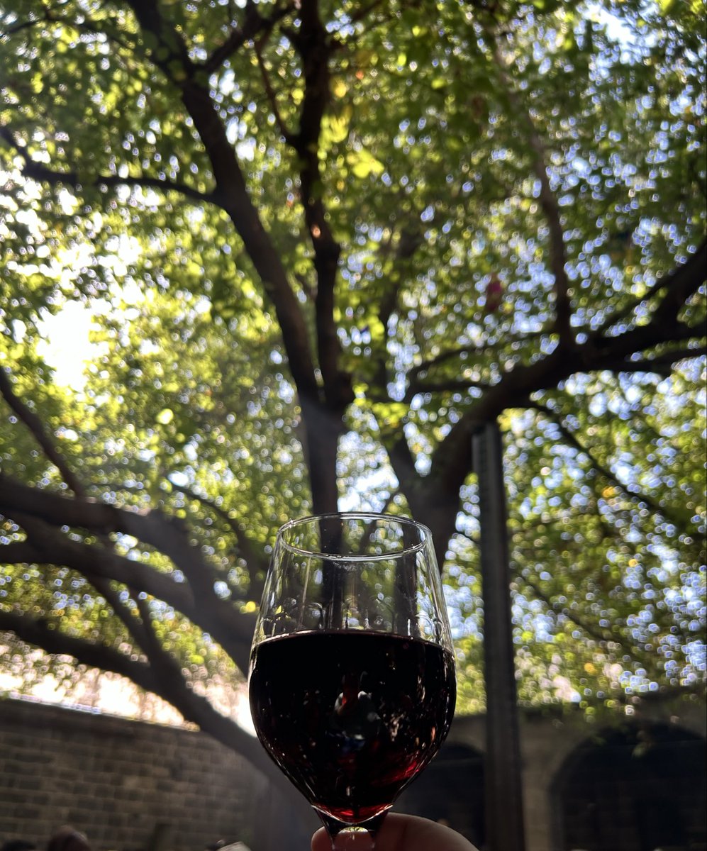 Ve… 
#SülüklüHan