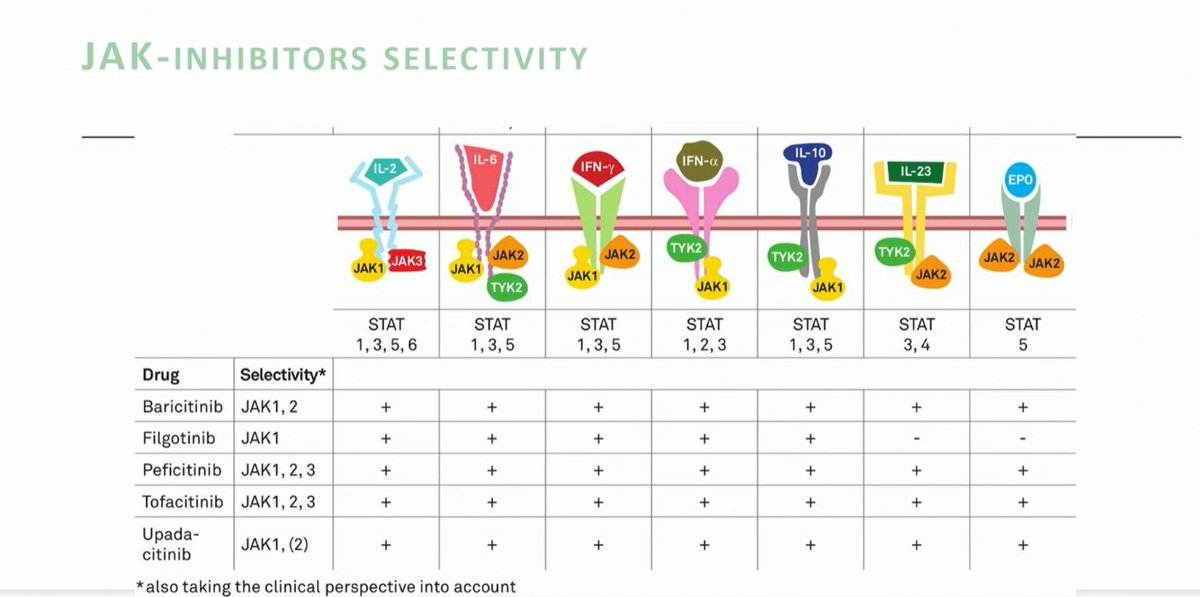 hanadymanasfi's tweet image. #Jakinhibitors #selectivity