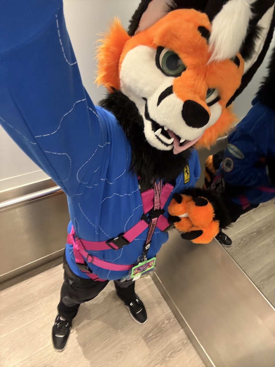 AT TAILS 

SAY HI 

or don’t 🙄