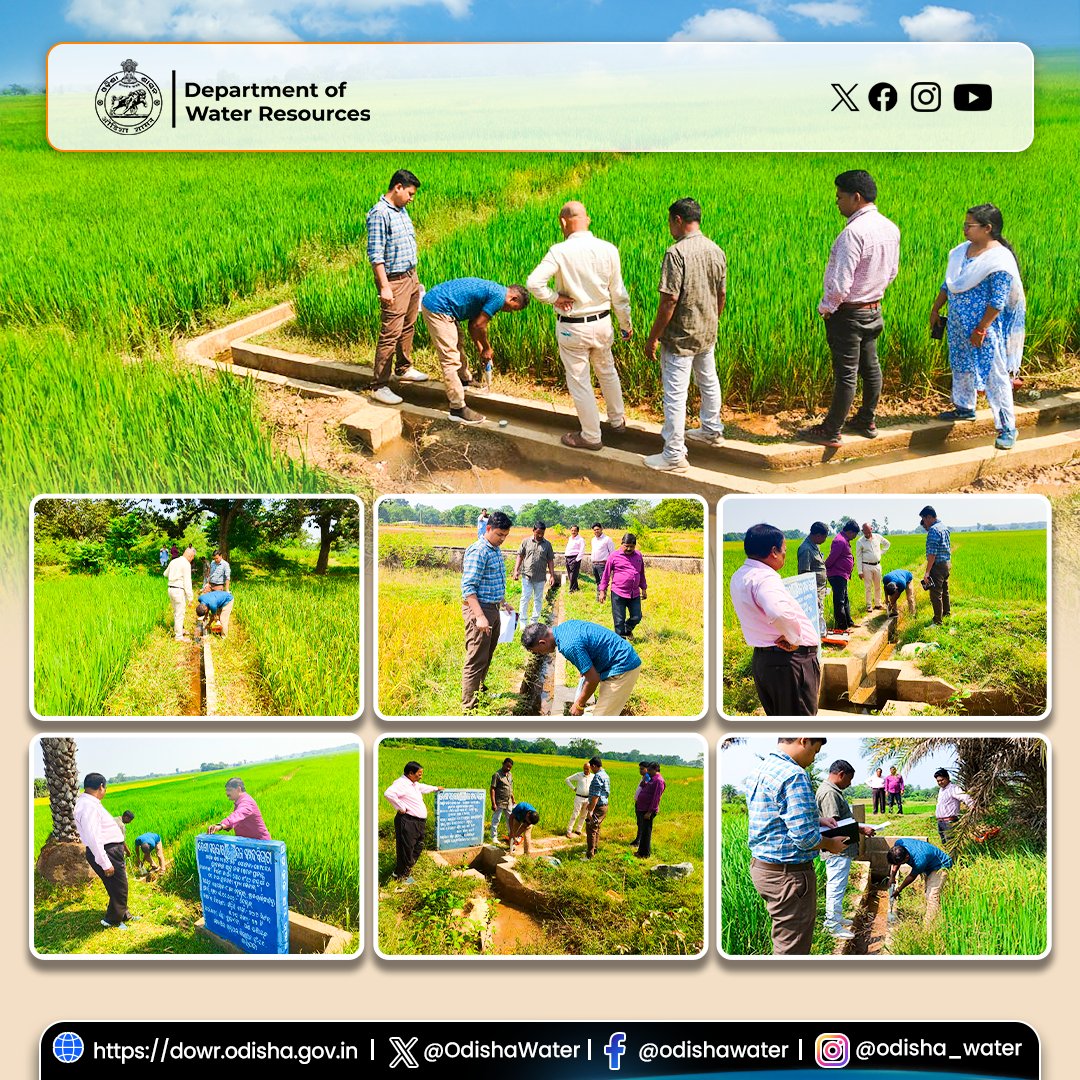 Field inspection of #CAD works in Chhadakata, Khejuria, and Nalua commands of #MayurbhanjDistrict conducted by SE, Quality Assurance Division, Baripada along with team. #OdishaWater #CADWorks #WaterManagement #QualityAssurance #IrrigationDevelopment 
<a href="/CMO_Odisha/">CMO Odisha</a> <a href="/DC_Odisha/">Office of Development Commissioner, Odisha</a>
