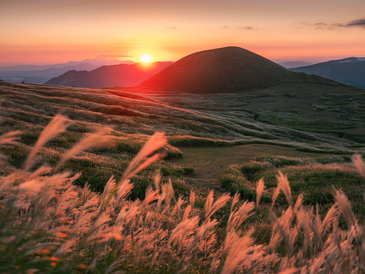 阿蘇の草原に秋がやって来た。