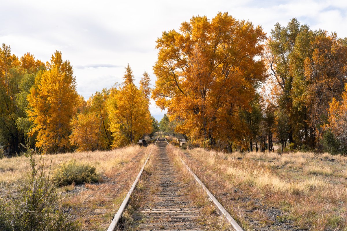 artxiee's tweet photo. i’m lost but i’m fine w that 🍂📷 https://t.co/fkCw08ftci