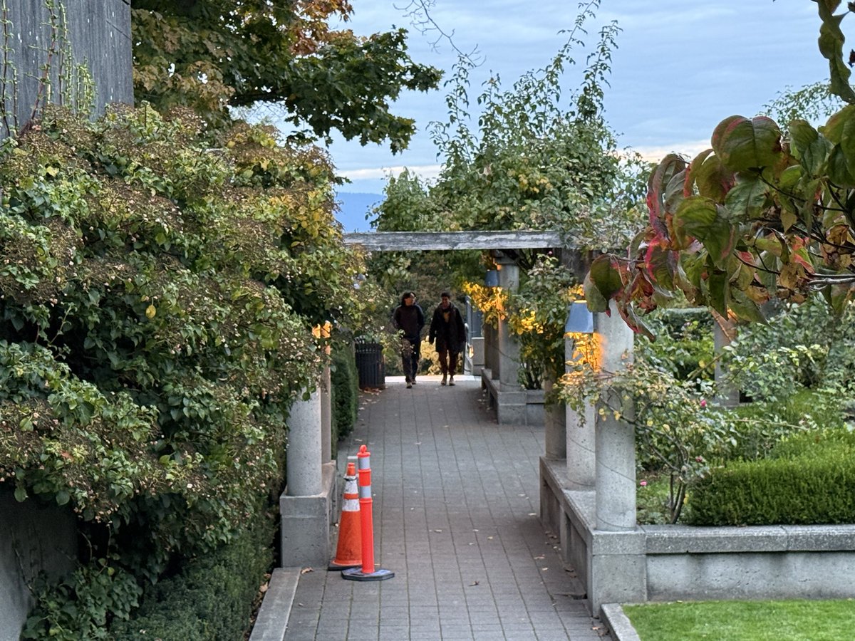 TheMingjie's tweet image. UBC might be the most beautiful campus in the world