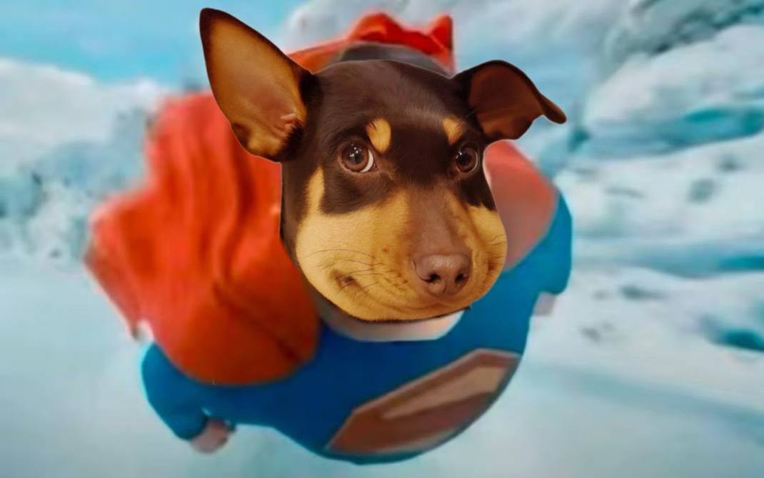 I support <a href="/beedog_bsc/">蜜蜂狗 Beedog</a>,  perhaps the most coordinated, ingenious, hilarious, and hardworking team I've seen in crypto.  
$Beedog routinely airdrops KOLs who spreads Beedog lore far and wide.  

A legend is born on BSC.  It's beedog! 

0x2Eb08A8fe215F72E01e089c1cD8C4c4937414444