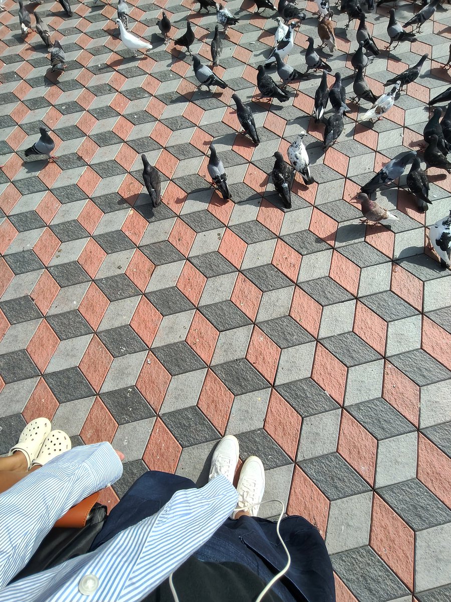 o_outoforder's tweet image. 