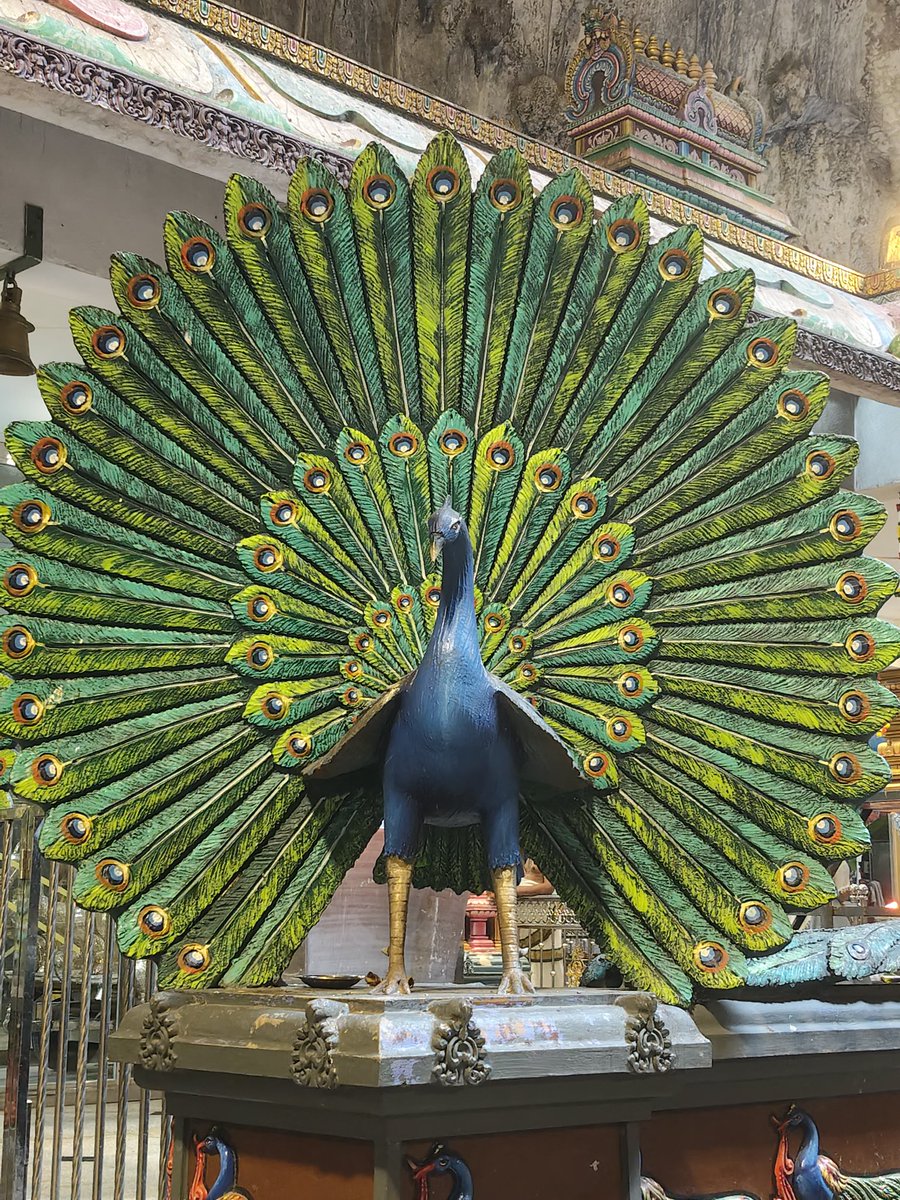 o_outoforder's tweet image. 