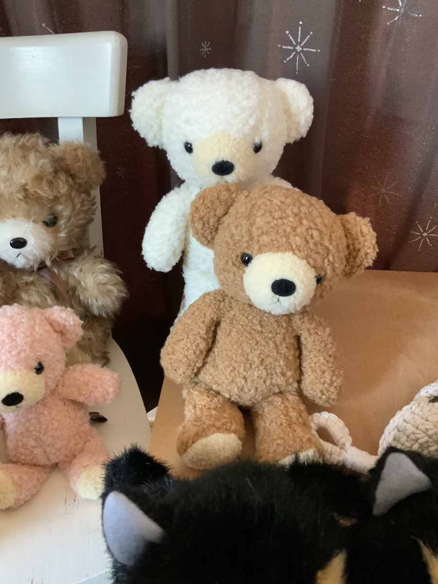 Dousin_kawaii's tweet image. フカフカ正念場です

先日からお知らせしておりますように、年末の再需要期へ向け、工場は特注と従来品(クリーム、ブラウンなど)の生産に入っております🪡🧸

しかしながら、、、10月の上がりは予定数量の半分以下です🙇‍♀️
工員さんの欠勤があり、フルキャパで稼働できないとのこと😢…