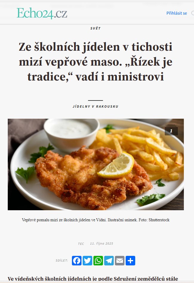 Přípravy na transformaci Rakouska v chalífát jsou v plném proudu.
