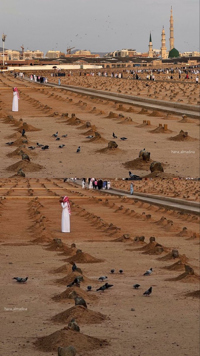 هناء المدينة tweet media