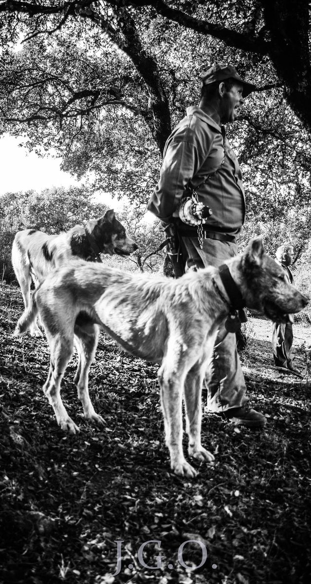 Pues mañana es Sábado. Así, sin darte cuenta.