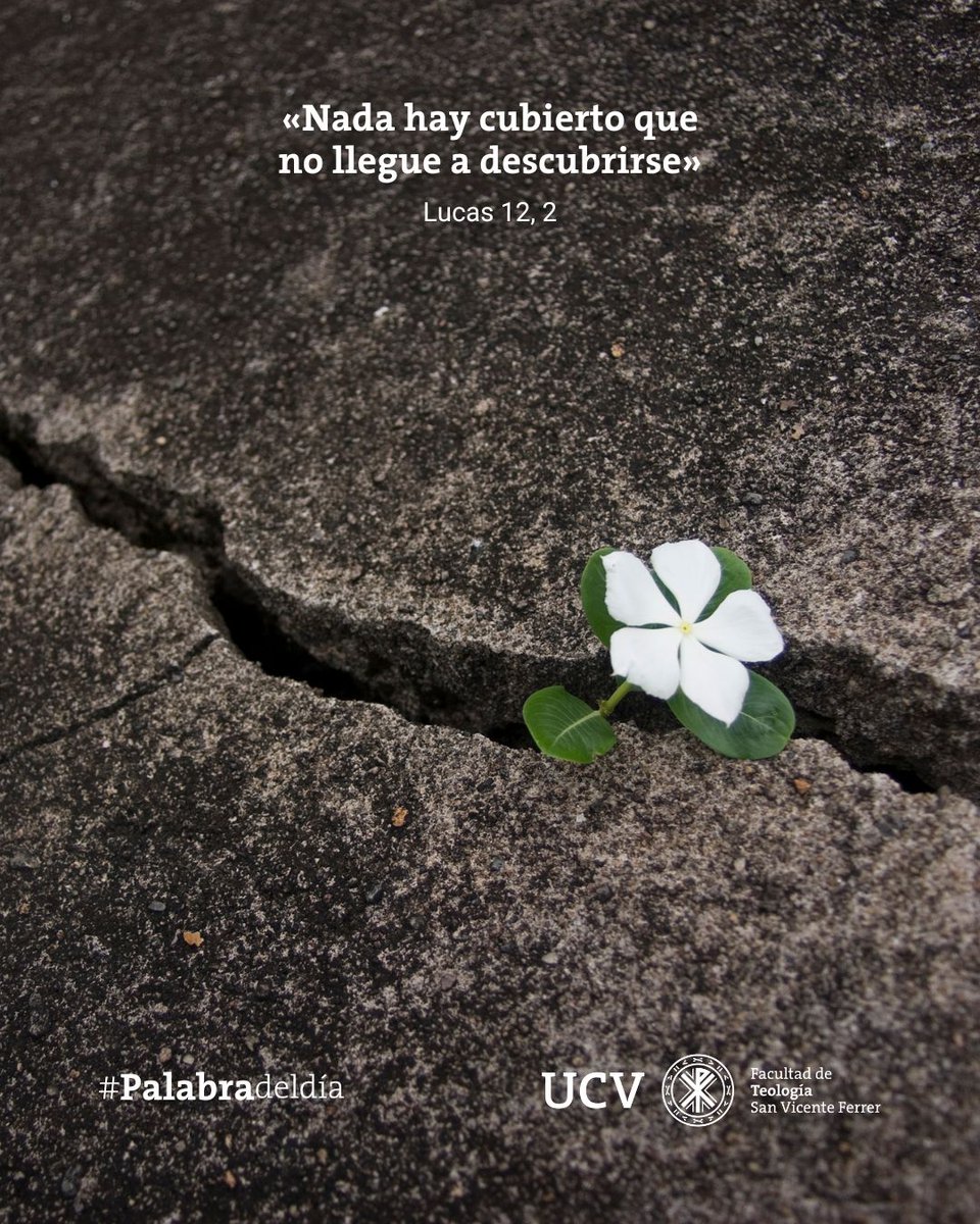 «𝐍𝐚𝐝𝐚 𝐡𝐚𝐲 𝐜𝐮𝐛𝐢𝐞𝐫𝐭𝐨 𝐪𝐮𝐞 𝐧𝐨 𝐥𝐥𝐞𝐠𝐮𝐞 𝐚 𝐝𝐞𝐬𝐜𝐮𝐛𝐫𝐢𝐫𝐬𝐞» (Lucas 12, 2)
La fe se manifiesta en coherencia entre lo que creemos y lo que hacemos. Un cristiano vive su fe con transparencia, confía en el cuidado amoroso de Dios.
▶️ bit.ly/PalabraDelDia1