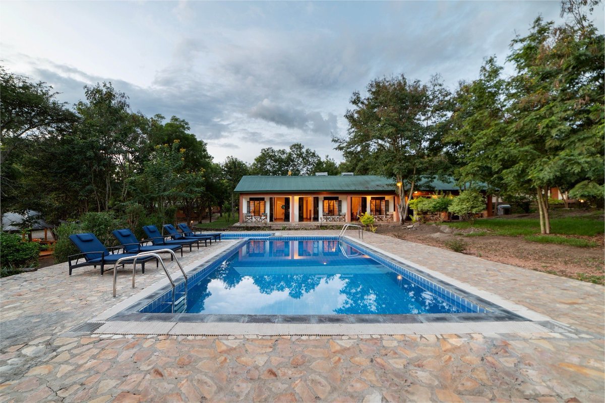 wekesa_amos's tweet image. FRIDAY MARKET DAY

Your potential customer(s) might be on my timeline.  Showcase your services and products in the comment section!

#FridayMarketDay 

BOOK SIMBA SAFARI CAMP , part of (@_GL_Collection )
+256 772426368 

Book online: thegreatlakescollection.com