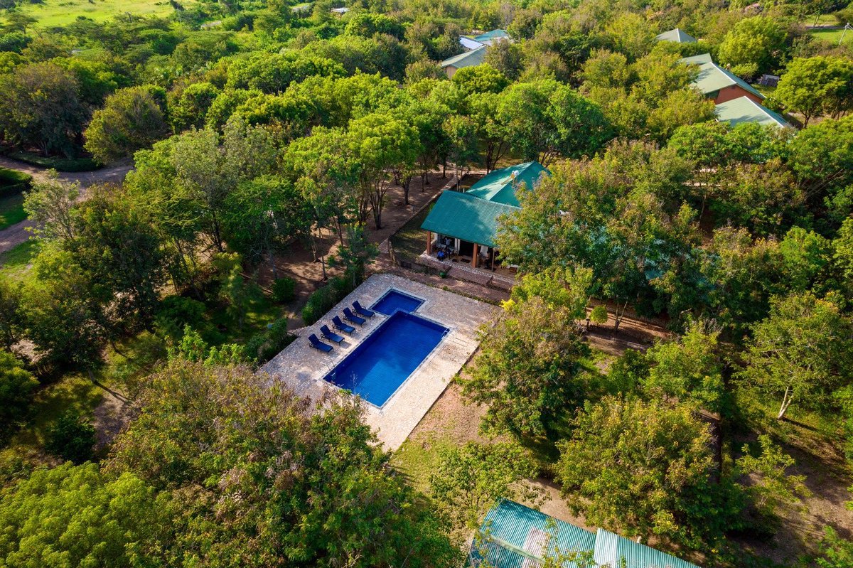 wekesa_amos's tweet image. FRIDAY MARKET DAY

Your potential customer(s) might be on my timeline.  Showcase your services and products in the comment section!

#FridayMarketDay 

BOOK SIMBA SAFARI CAMP , part of (@_GL_Collection )
+256 772426368 

Book online: thegreatlakescollection.com