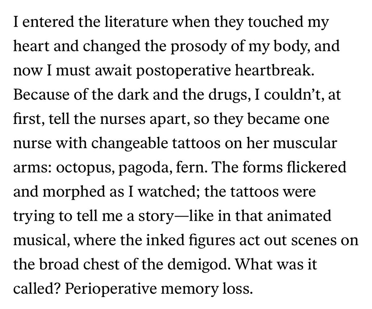 This essay by Ben Lerner in <a href="/nybooks/">The New York Review of Books</a> is a must-read.

nybooks.com/articles/2025/…