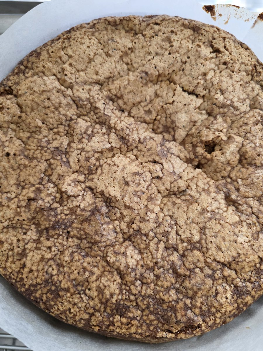 Hisashiburi carrot cake. It will be available this weekend along with apple pies, custard pies, lamingtons and cookies . We'll also have our usual selection of meat pies and sausage rolls at Punk Doily