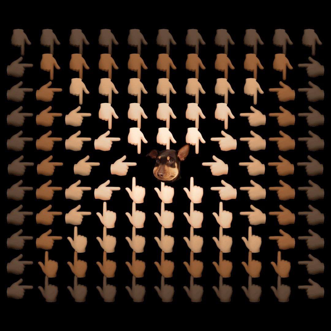 Biyue🔸BNB（恶俗企鹅版） tweet media