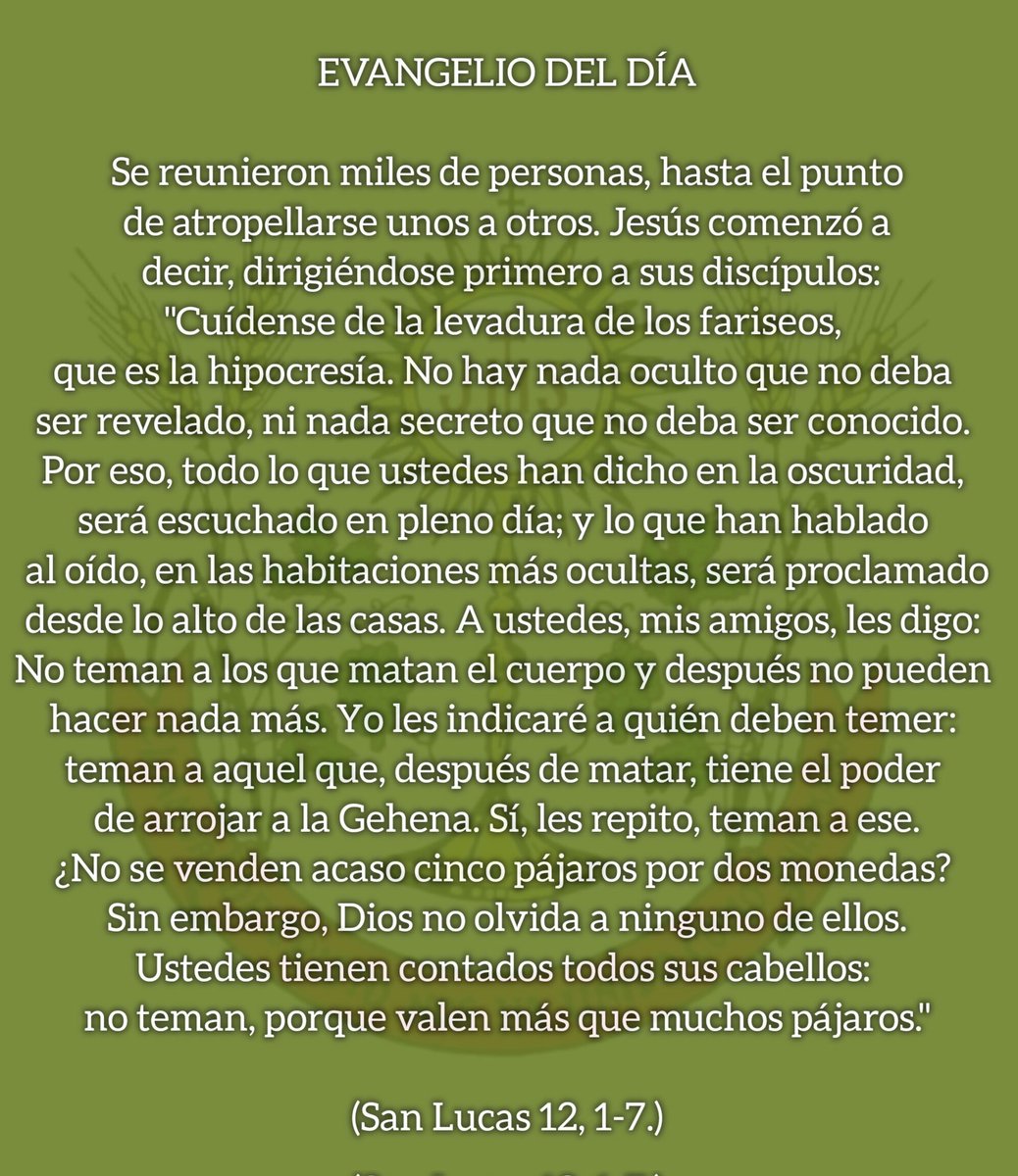 ✝️ Hoy es Viernes, Día del Señor: