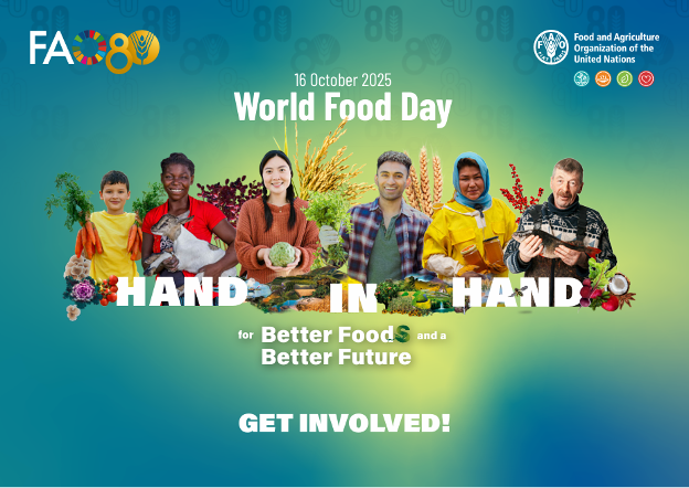 cccomdev tweet media