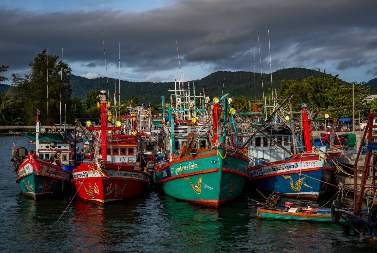 Alexander Seleznyov | drip | eth/tez/sol (@shurivich) on Twitter photo Gm, fam! โ๏ธ
Sometimes I have shots like this, they hold memories and okay visually, but not strong enough for my standards.
Any ideas what I could use them for? ๐ค Gm, fam! โ๏ธ
Sometimes I have shots like this, they hold memories and okay visually, but not strong enough for my standards.
Any ideas what I could use them for? ๐ค