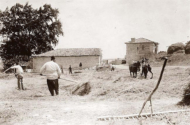 mazkulede's tweet image. Bir Anadolu Sözü ...

Derede tarla sel için,
tepede harman yel için.

#deyiş #atasözü