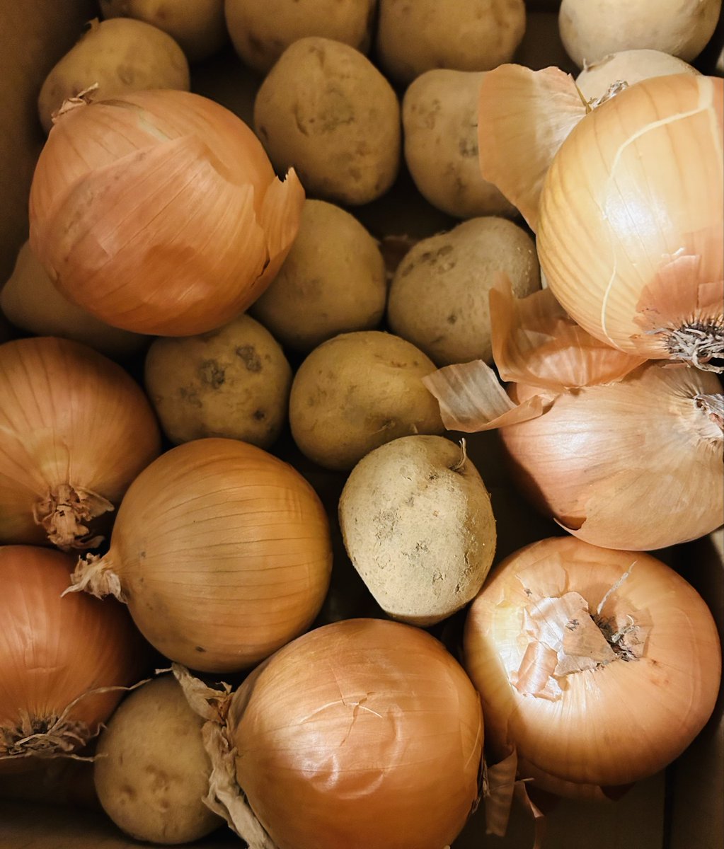 きんぎょ (@kingyo678) / Posts / X