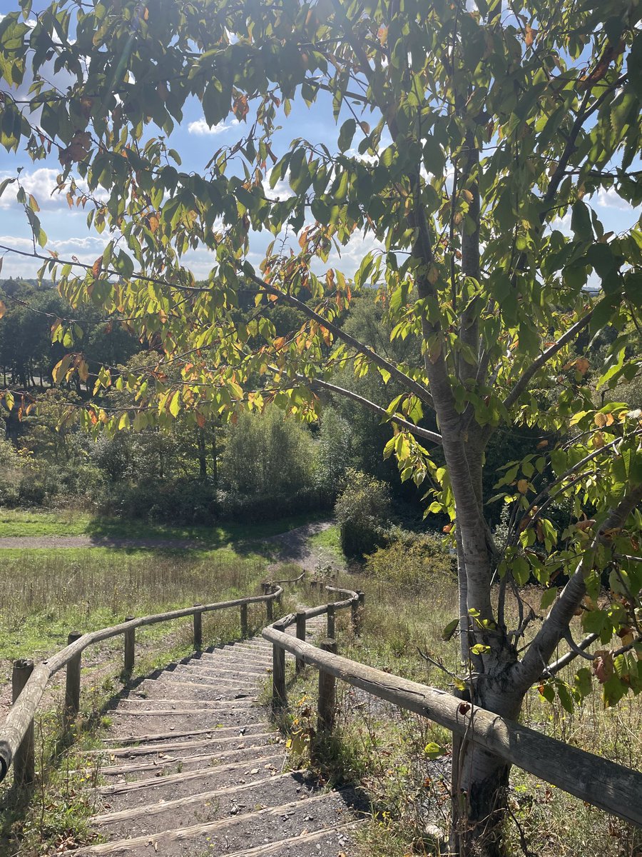 AvenirdesCites62 (@avenirdescites) on Twitter photo 🔴Pour finir la semaine, à la découverte de sites naturels sur le #bassinminier <a href="/AggloLensLievin/">Agglo Lens-Liévin</a> <a href="/pasdecalais62/">pasdecalais62</a>
➡️Le jeune Lorenzo et Xavier éducateur <a href="/AvenirdesCites/">AvenirdesCites62</a> vous font découvrir un endroit tranquille et calme, un véritable havre de paix...
➡️Quel est ce lieu ? 🔴Pour finir la semaine, à la découverte de sites naturels sur le #bassinminier <a href="/AggloLensLievin/">Agglo Lens-Liévin</a> <a href="/pasdecalais62/">pasdecalais62</a>
➡️Le jeune Lorenzo et Xavier éducateur <a href="/AvenirdesCites/">AvenirdesCites62</a> vous font découvrir un endroit tranquille et calme, un véritable havre de paix...
➡️Quel est ce lieu ?