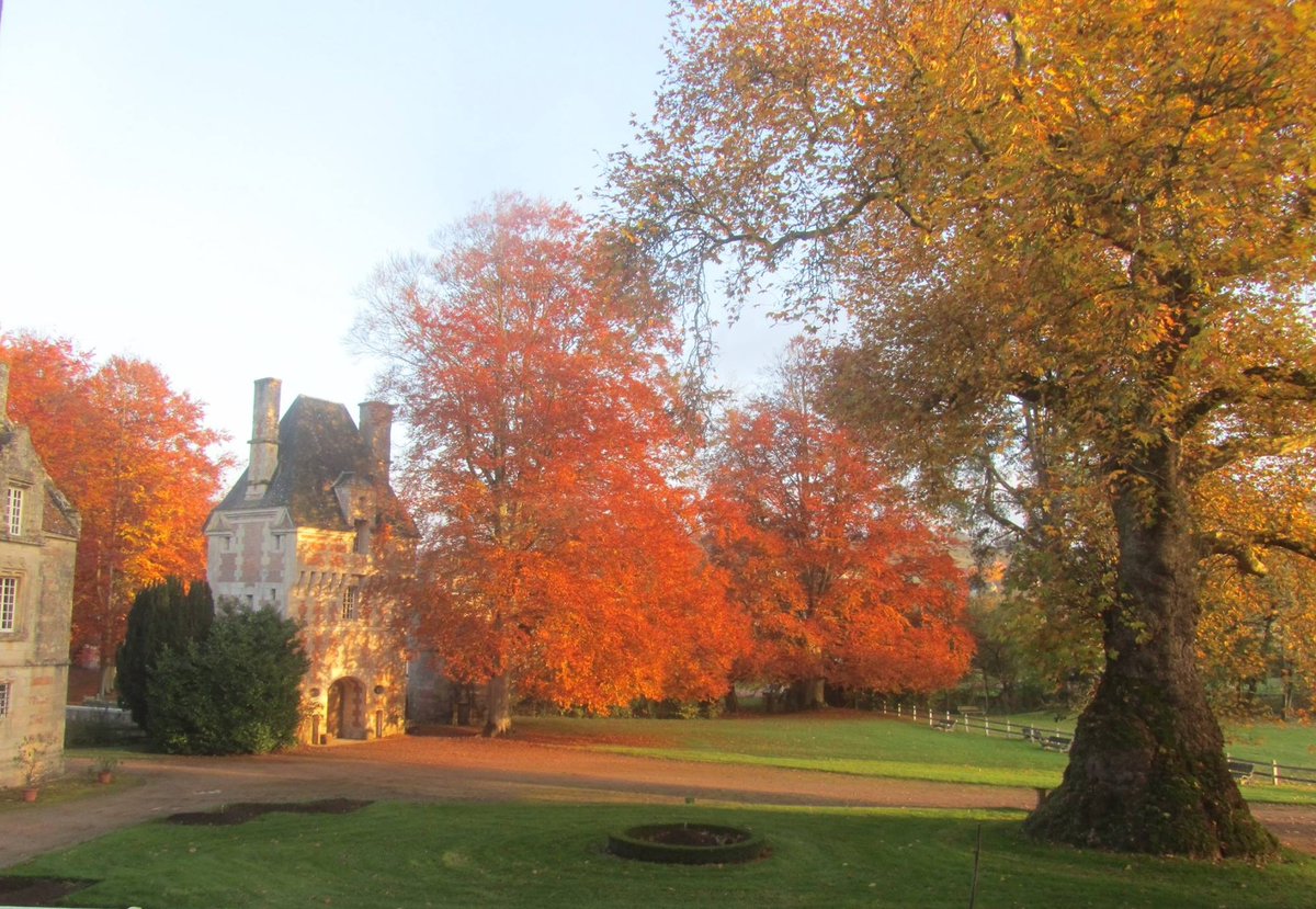 SCustine's tweet image. « Je ne saurais vous dire ce que j'éprouve chaque soir en voyant les derniers rayons du soleil renforcer sur les coteaux boisés les teintes ardentes de l'automne. […] Je me sens retenu à ma place par je ne sais par quel charme. » — #Custine, Château de #Fervaques, 1818 🍂