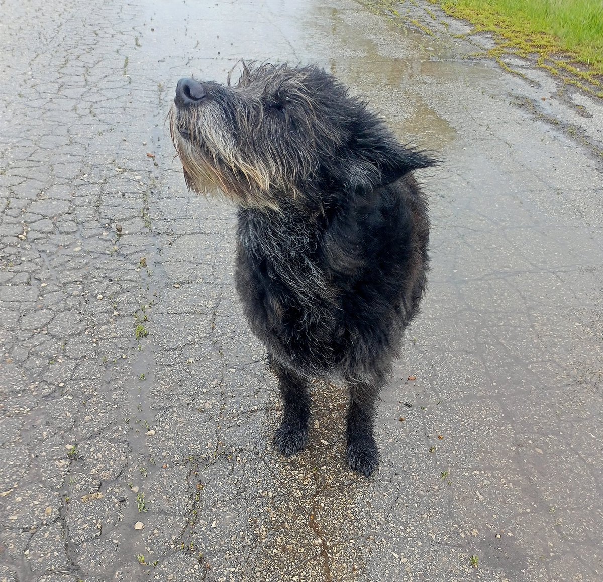 Н. П. Палей tweet media