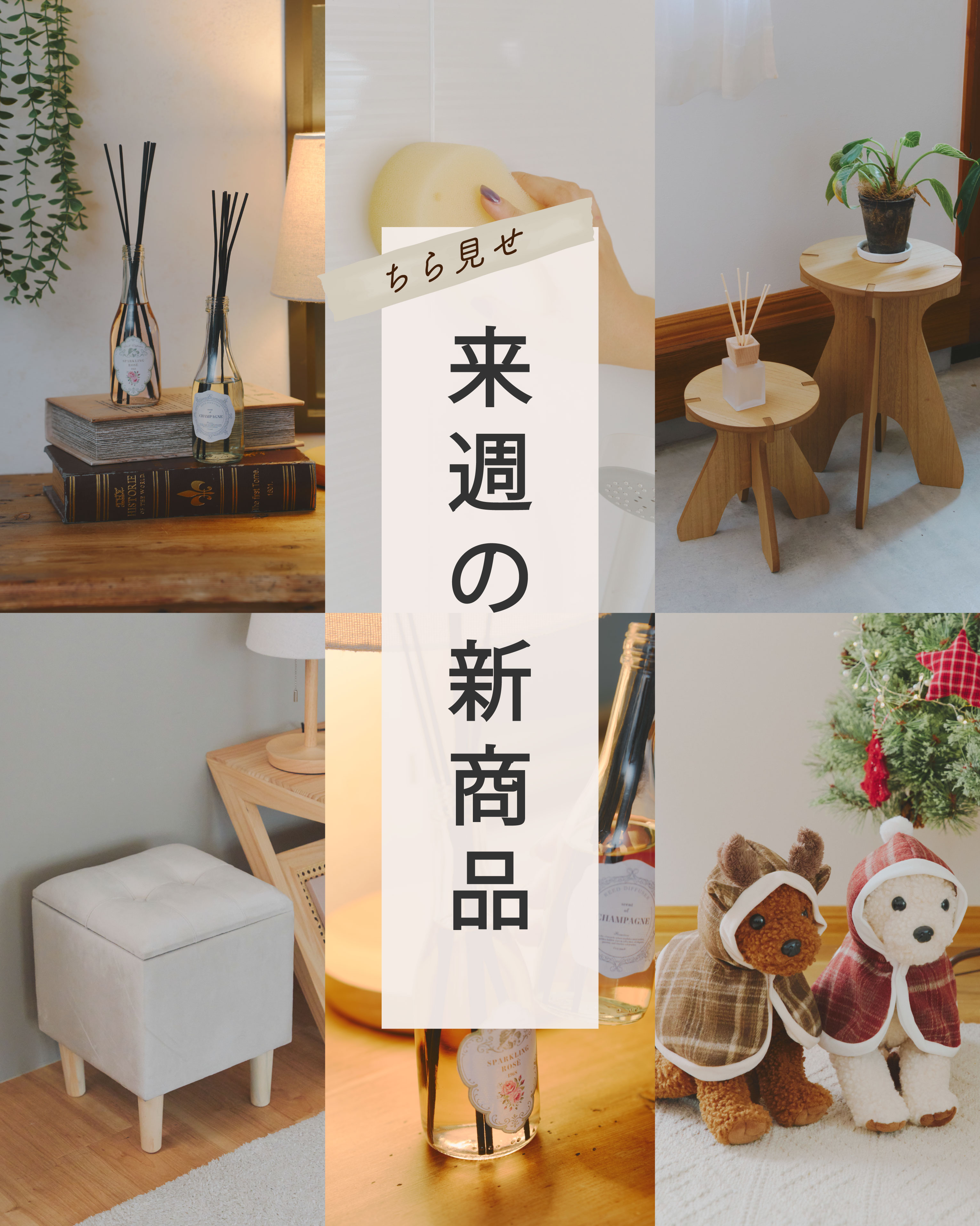 salut!（サリュ）【公式】 (@salut_shop) / X