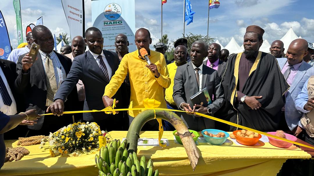 Kamuganga's tweet photo. Katuhingye murye Kandi kanigwo mwihiremu... https://t.co/UC58Enk6ZQ