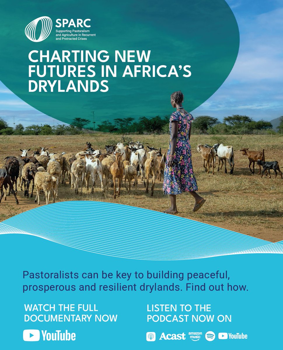 📻Who's listening to the radio? SPARC lead researcher Carmen Jaquez was featured on <a href="/channelafrica/">ChannelAfrica</a>'s Rise and Shine show, talking about SPARC's new documentary.  

Carmen stressed how:
➡️"Pastoralists provide up to 80% of the meat we eat in African cities" - they are resilient,