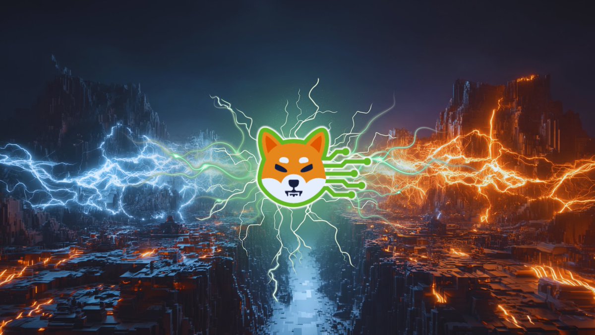 SHIB To The Moon tweet media