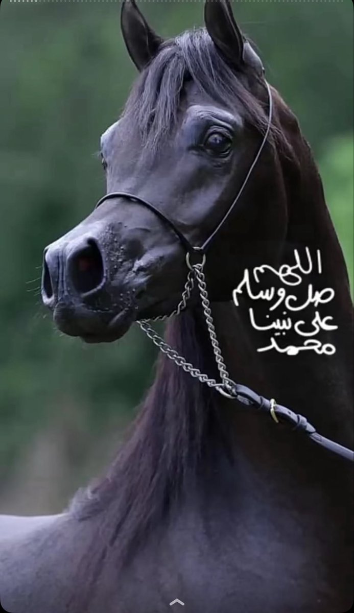 يالله بصبَاح ينساق فيه #الخييِر والنور                     

#الوافي_رند_للتبادل 
#صباح_السعادة_والفرح 💛✨