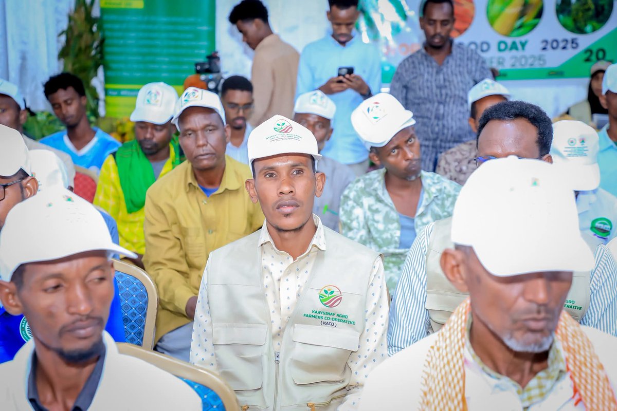 PAAS_ORG's tweet photo. 🌾 World Food Day 2025! 🌍
We’re proud to take part the celebration organized by the Ministry of Agriculture &amp; Irrigation SWS in Baidoa.
DG Mr. Ali Mohamed Ibrahim urged stronger local food production for self-sufficiency. 🌱
#WorldFoodDay #PAAS #FoodSecurity #Baidoa #Agriculture https://t.co/MDdqHcl3bh
