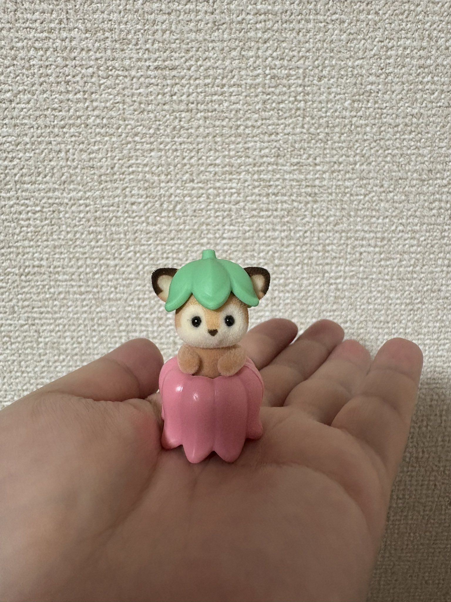 ぐみ🍧エンタメライター・編集・コンテンツ企画 on X: 